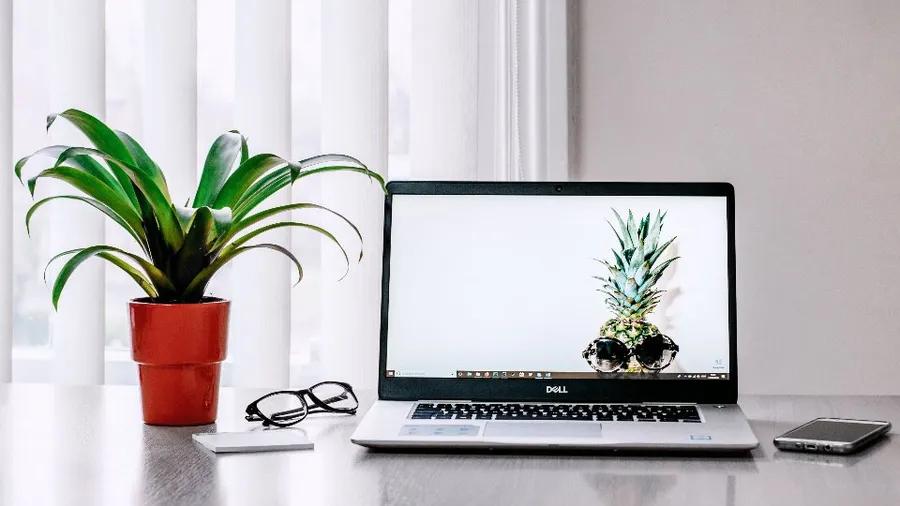 Laptop on a white desk next to a potted plant
